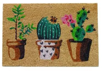 Capacho vasinhos de cactos